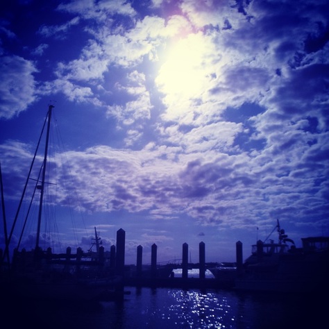 Picture