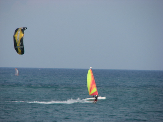 Picture