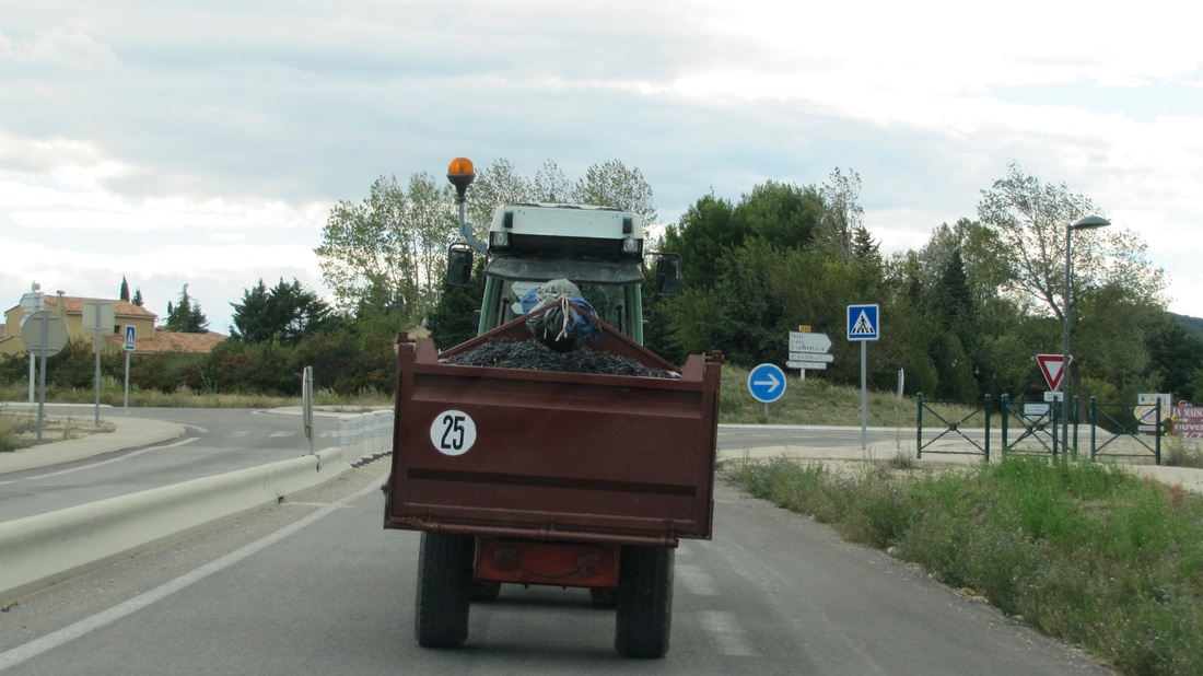 Picture