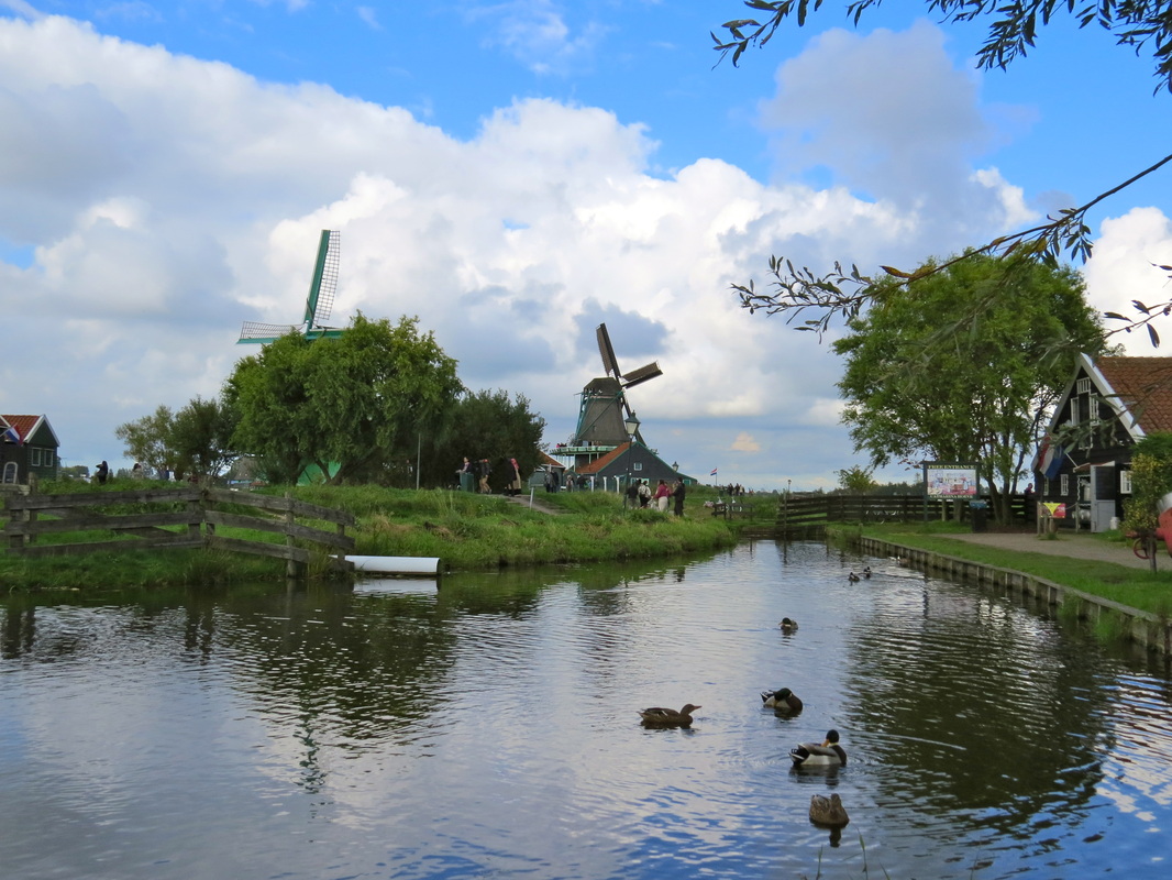 Picture
