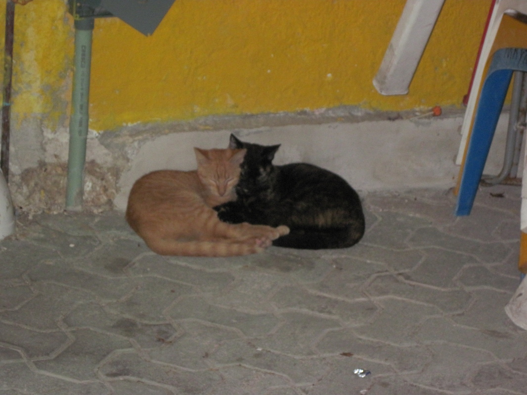 Picture