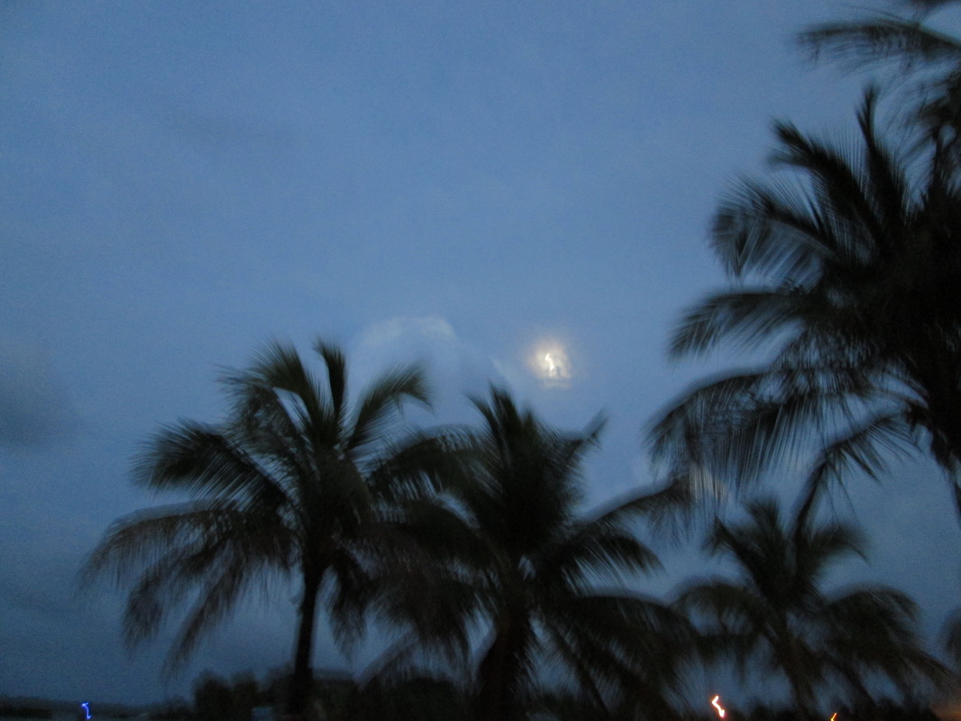 Picture