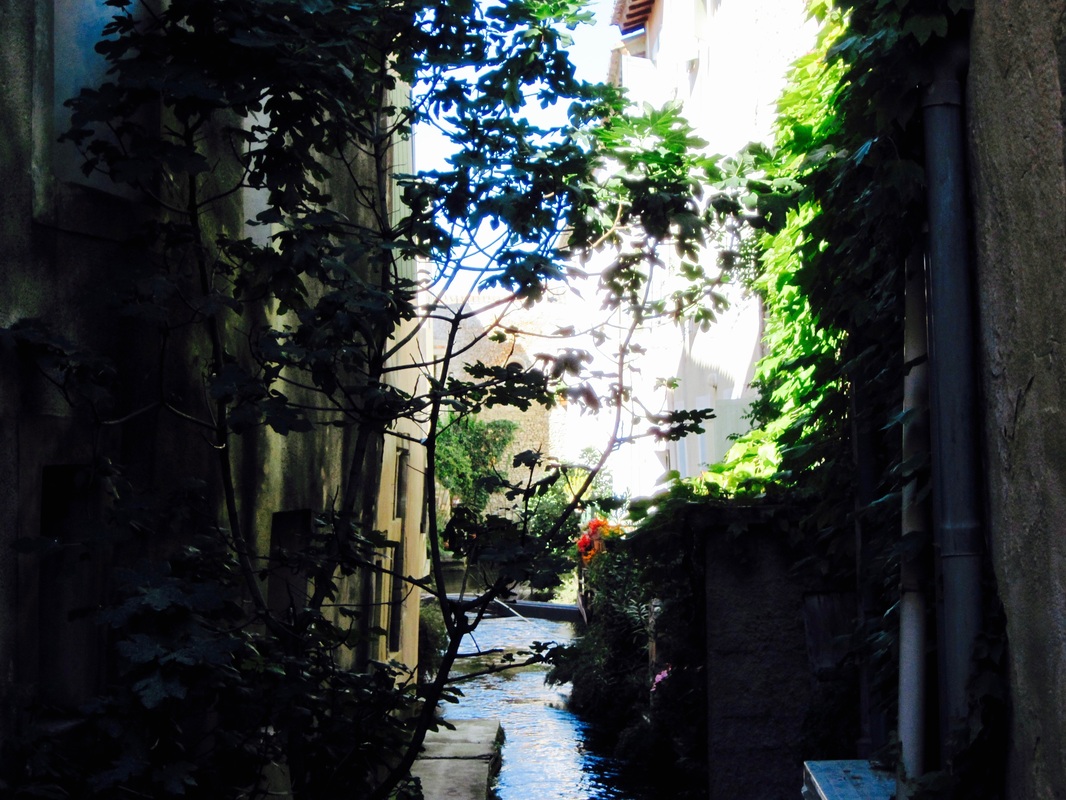 Picture