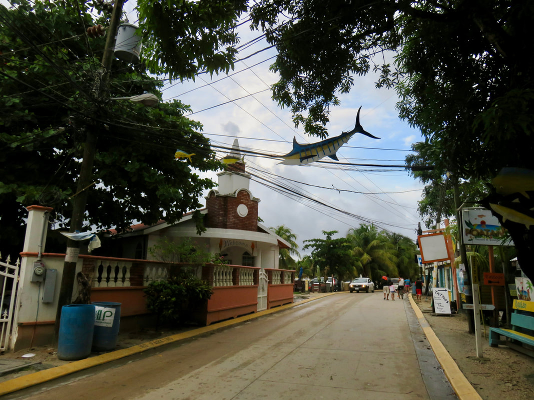 Picture